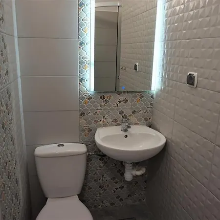 Проживание в семье Ambasador