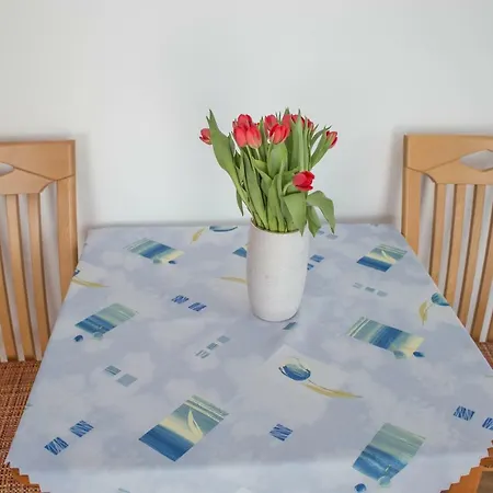 Ambasador Проживание в семье Владыславово